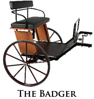 the badger
